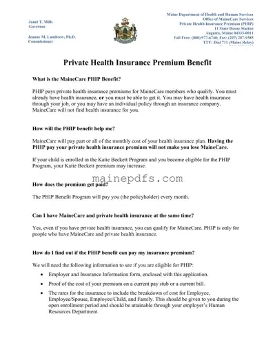 Download Phip Program Maine Template in PDF